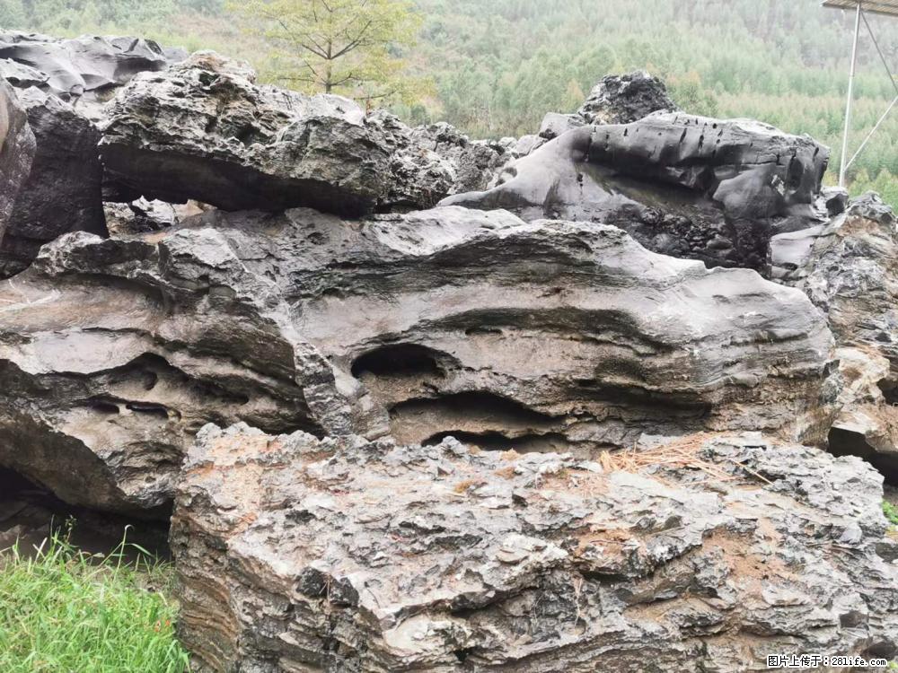 风景石、假山石大量有货，有需要的欢迎联系 - 新手上路 - 内江生活社区 - 内江28生活网 scnj.28life.net