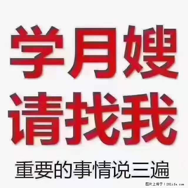 为什么要学习月嫂，育婴师？ - 其他广告 - 广告专区 - 内江分类信息 - 内江28生活网 scnj.28life.net