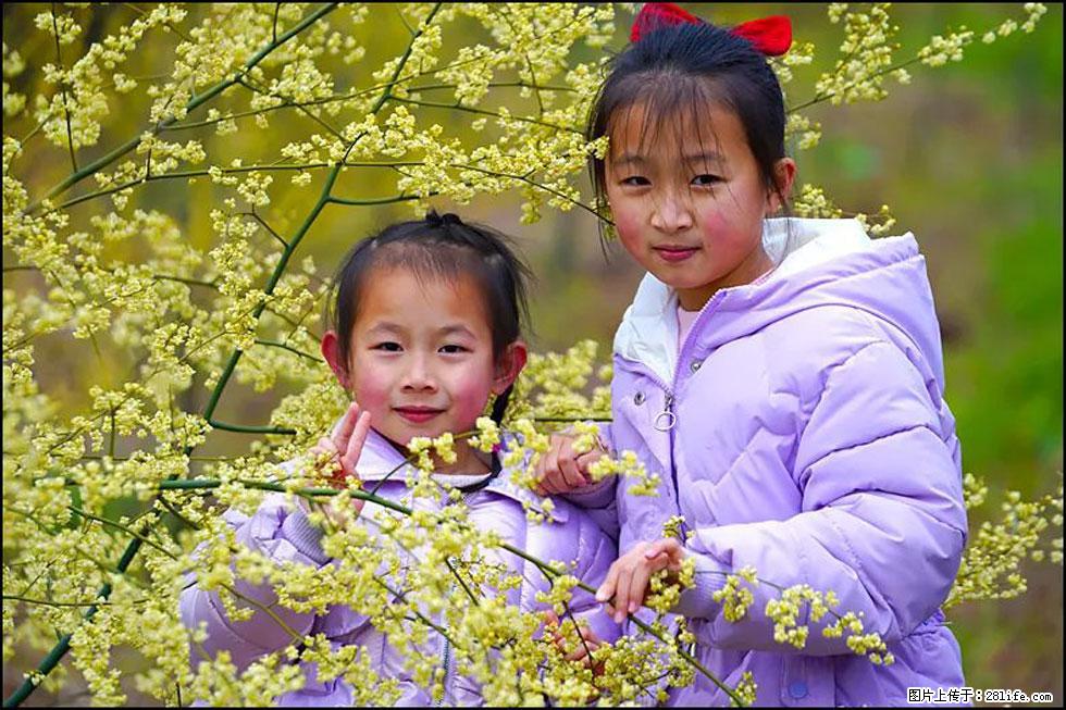 【春天，广西桂林灌阳县向您发出邀请！】米珠山前有片山苍子花在飘香 - 游山玩水 - 内江生活社区 - 内江28生活网 scnj.28life.net