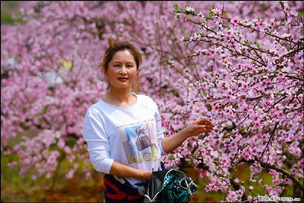 【春天，广西桂林灌阳县向您发出邀请！】官庄村有个醉美的桃花园 - 游山玩水 - 内江生活社区 - 内江28生活网 scnj.28life.net