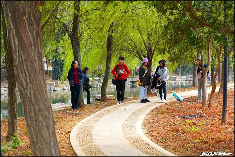 【春天，广西桂林灌阳县向您发出邀请！】江口老街又逢春 - 游山玩水 - 内江生活社区 - 内江28生活网 scnj.28life.net