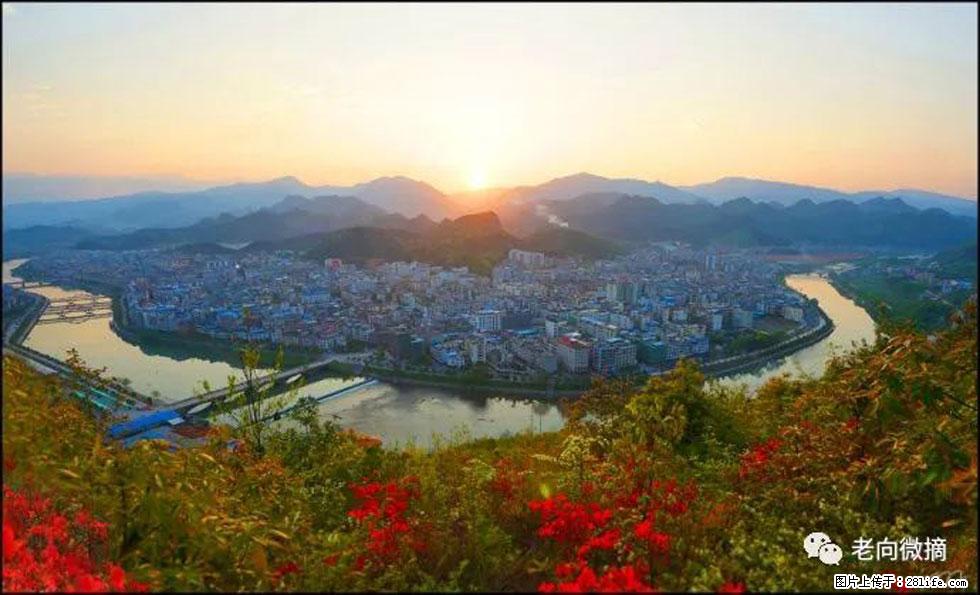 【春天，广西桂林灌阳县向您发出邀请！】登麒麟山，相约映山红 - 游山玩水 - 内江生活社区 - 内江28生活网 scnj.28life.net