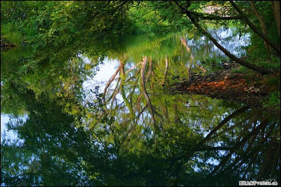 【春天，广西桂林灌阳县向您发出邀请！】熊家寨湿地公园 - 游山玩水 - 内江生活社区 - 内江28生活网 scnj.28life.net