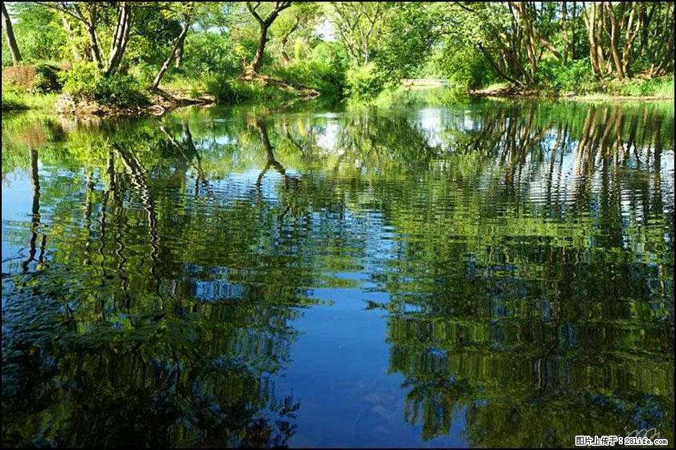 【春天，广西桂林灌阳县向您发出邀请！】熊家寨湿地公园 - 游山玩水 - 内江生活社区 - 内江28生活网 scnj.28life.net