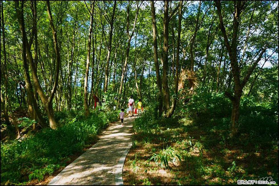 【春天，广西桂林灌阳县向您发出邀请！】熊家寨湿地公园 - 游山玩水 - 内江生活社区 - 内江28生活网 scnj.28life.net