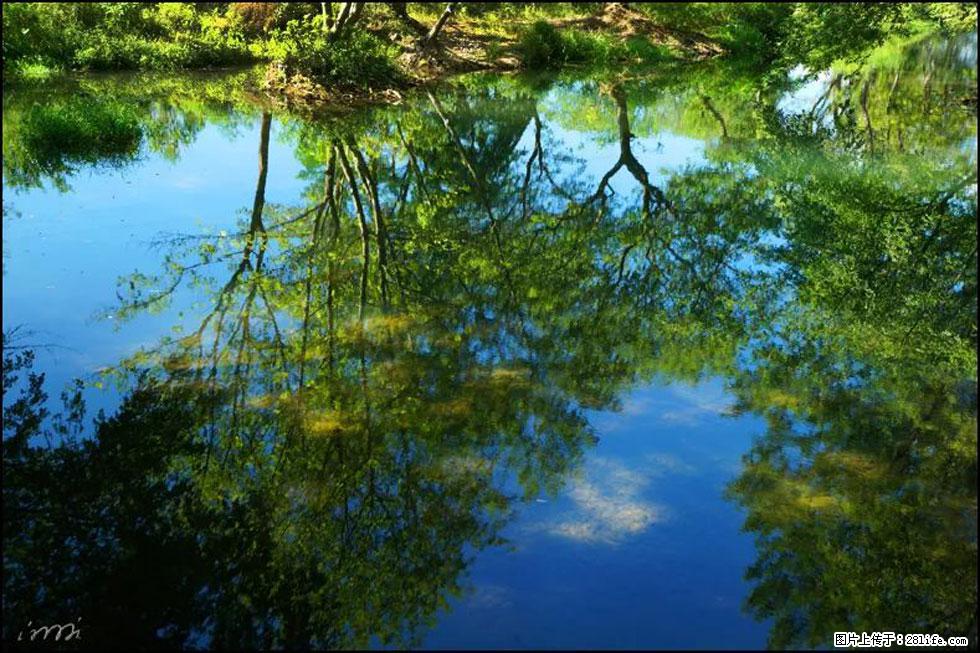【春天，广西桂林灌阳县向您发出邀请！】熊家寨湿地公园 - 游山玩水 - 内江生活社区 - 内江28生活网 scnj.28life.net