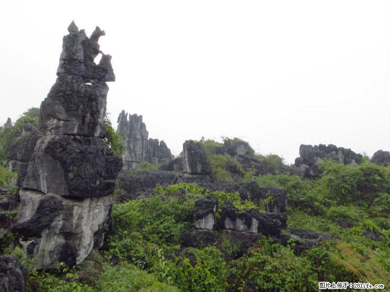 桂林旅游名城景点：灌阳文市石林 - 游山玩水 - 内江生活社区 - 内江28生活网 scnj.28life.net