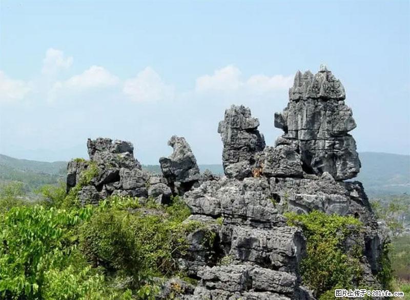 桂林旅游名城景点：灌阳文市石林 - 游山玩水 - 内江生活社区 - 内江28生活网 scnj.28life.net
