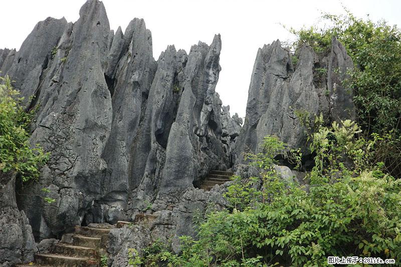 桂林旅游名城景点：灌阳文市石林 - 游山玩水 - 内江生活社区 - 内江28生活网 scnj.28life.net