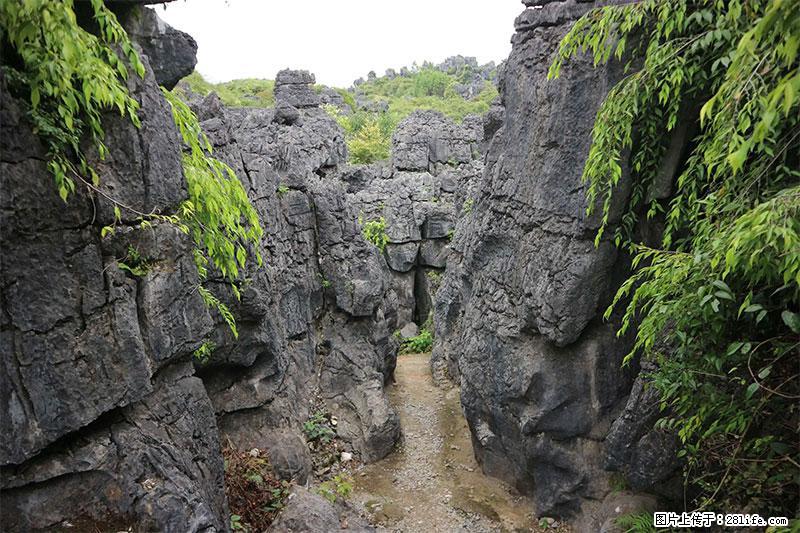 桂林旅游名城景点：灌阳文市石林 - 游山玩水 - 内江生活社区 - 内江28生活网 scnj.28life.net