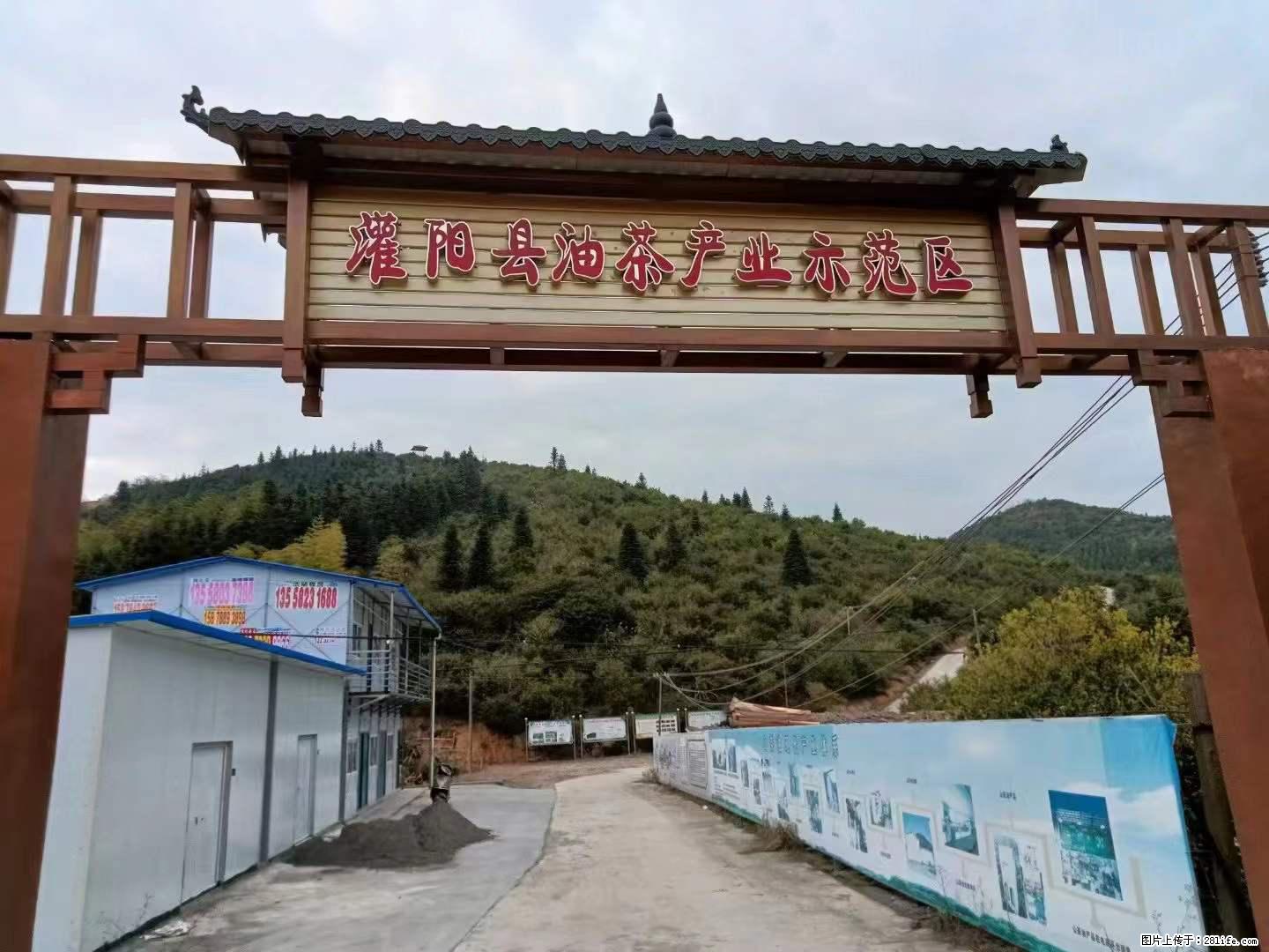 【灌阳县油茶产业示范区】一个有着充实的精神生活的人，对待身外之物自会有一种淡泊的态度 - 美食天地 - 内江生活社区 - 内江28生活网 scnj.28life.net