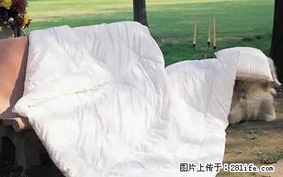 被子有异味？只要这样做，比晒太阳还强100倍！ - 家居生活 - 内江生活社区 - 内江28生活网 scnj.28life.net