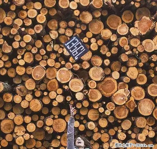 辞掉工作周游世界?现在他们在洗厕所…… - 游山玩水 - 内江生活社区 - 内江28生活网 scnj.28life.net