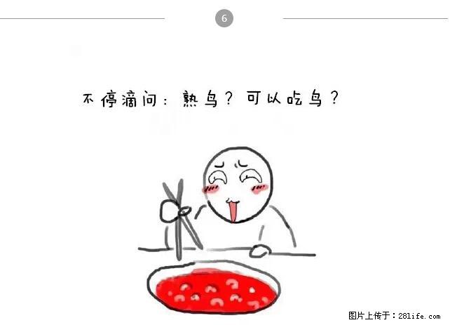 千万不要和这9种哈卵一起吃火锅! - 美食天地 - 内江生活社区 - 内江28生活网 scnj.28life.net