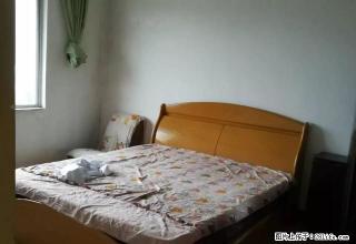 市中 三桥科史坳附近 1室1厅1卫 有家具家电 - 内江28生活网 scnj.28life.net