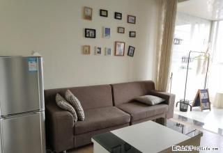 万达对面金色夏威夷一室一厅精装修家具家电齐全 - 内江28生活网 scnj.28life.net