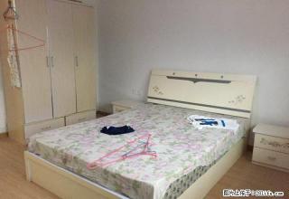 十小揽景苑附近 新华路一室一厅精装 全套家电带花园 急租 - 内江28生活网 scnj.28life.net