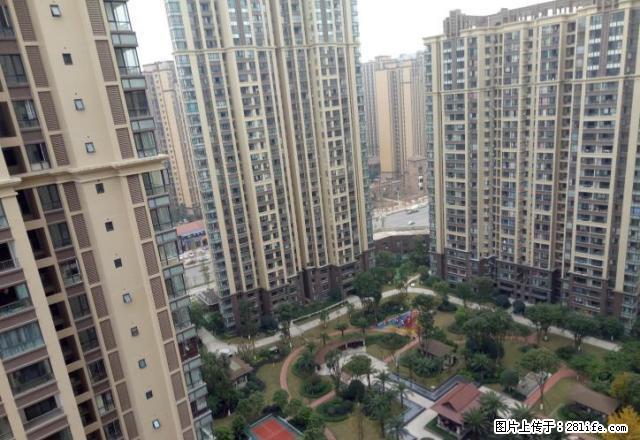 东兴区汉安大道中心路段，邦泰国际公馆，新小区环境优美。 - 房屋出租 - 房屋租售 - 内江分类信息 - 内江28生活网 scnj.28life.net