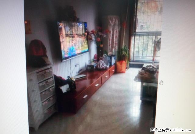 精装全配 户型好 楼层好 拎包入住 西林中学旁 周边生活方便 - 房屋出租 - 房屋租售 - 内江分类信息 - 内江28生活网 scnj.28life.net
