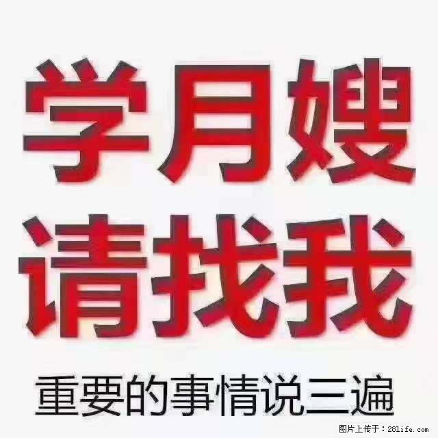 【招聘】月嫂，上海徐汇区 - 职场交流 - 内江生活社区 - 内江28生活网 scnj.28life.net