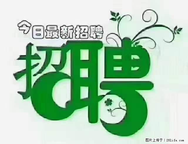 上海隔离酒店招人：55岁以下 男女不限 - 职场交流 - 内江生活社区 - 内江28生活网 scnj.28life.net