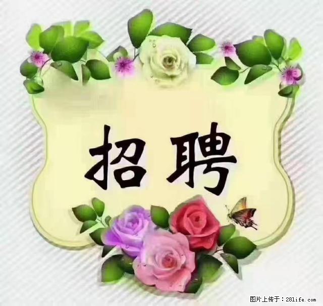 【招聘】住家育儿嫂，上户日期：4月4日，工作地址：上海 黄浦区 - 职场交流 - 内江生活社区 - 内江28生活网 scnj.28life.net