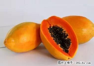 晕车、脚气、牙齿变黄、皮肤粗糙？学会这些三分钟搞定！ - 内江生活资讯 - 内江28生活网 scnj.28life.net