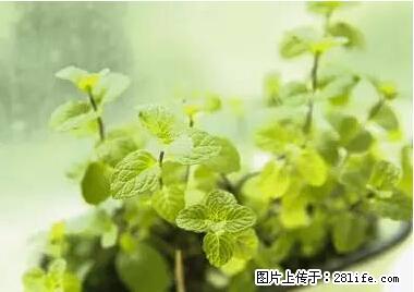 晕车、脚气、牙齿变黄、皮肤粗糙？学会这些三分钟搞定！ - 内江生活资讯 - 内江28生活网 scnj.28life.net