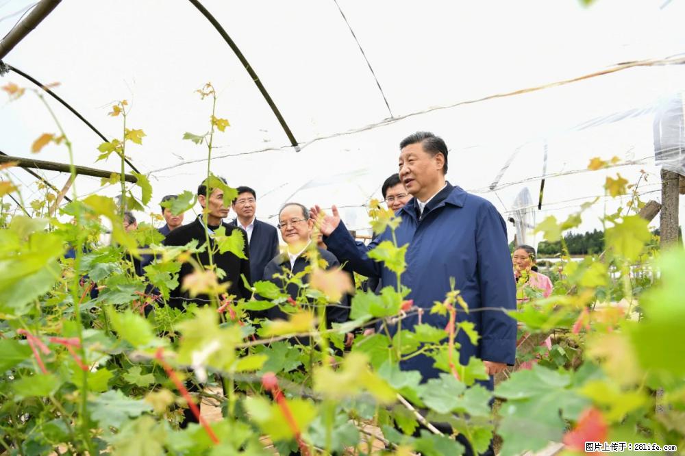 习近平赴广西考察调研 - 内江生活资讯 - 内江28生活网 scnj.28life.net