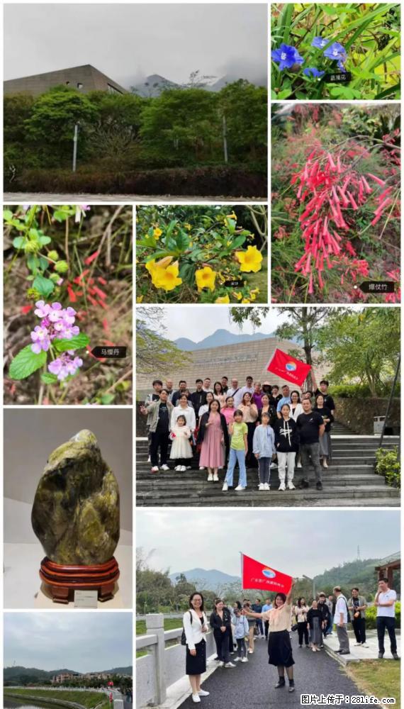 “粤灌文化 美好生活”油茶文化主题活动在广东深圳成功举办 - 内江生活资讯 - 内江28生活网 scnj.28life.net