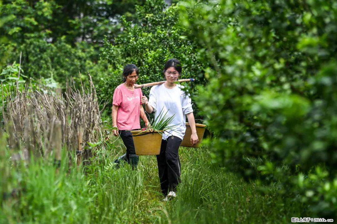 全网追的“扁担女孩”，找了一份暑假工，时薪12元 - 内江生活资讯 - 内江28生活网 scnj.28life.net