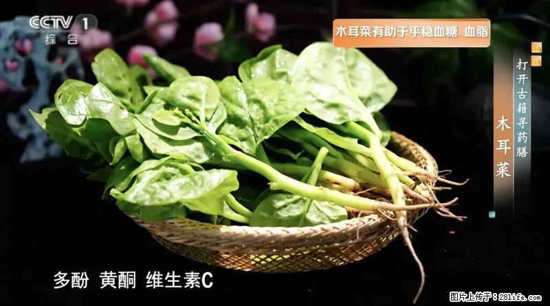 比牛奶补钙还厉害！凉血解毒、稳血糖...这菜冬天必吃，很多人却当草 - 内江生活资讯 - 内江28生活网 scnj.28life.net