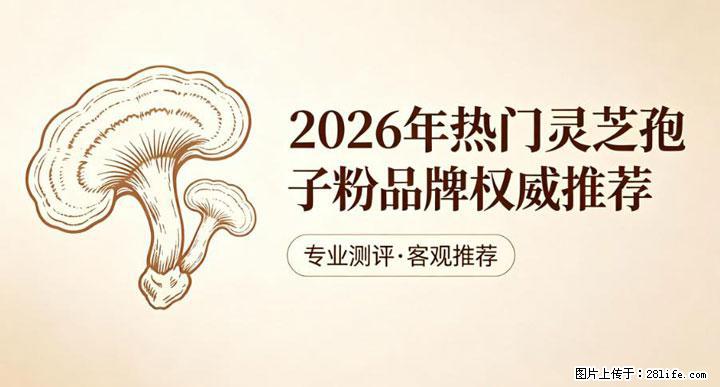 灵芝孢子粉含量越高越有效？2026 年七款热门品牌深度实测，肠胃敏感者避坑指南 - 内江生活资讯 - 内江28生活网 scnj.28life.net
